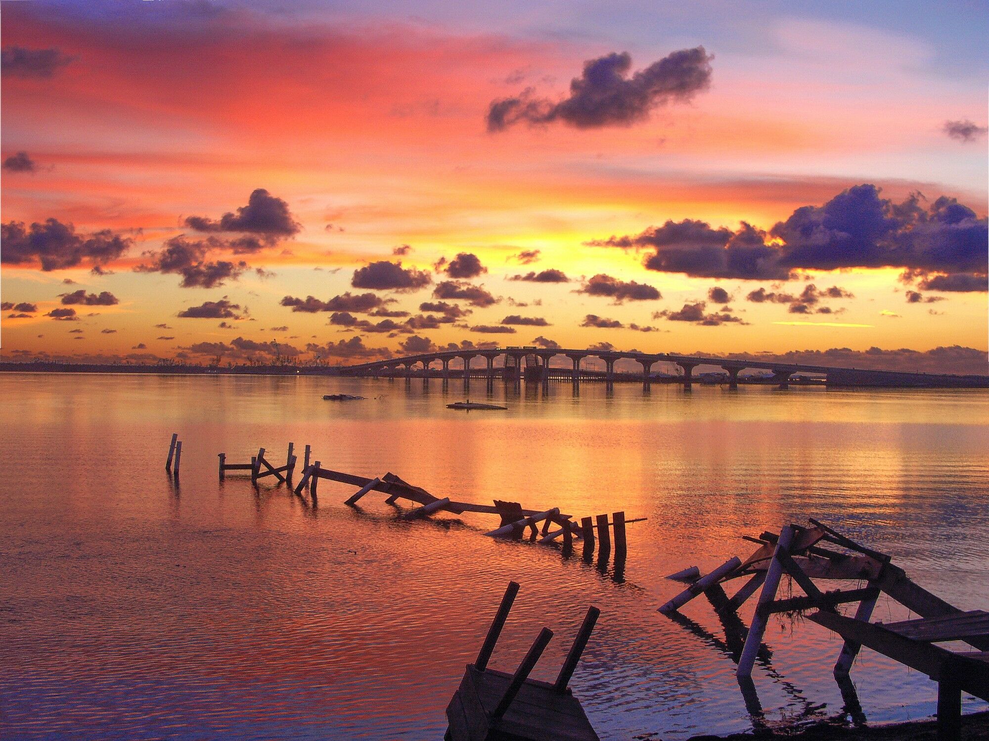 Click to See Next Image